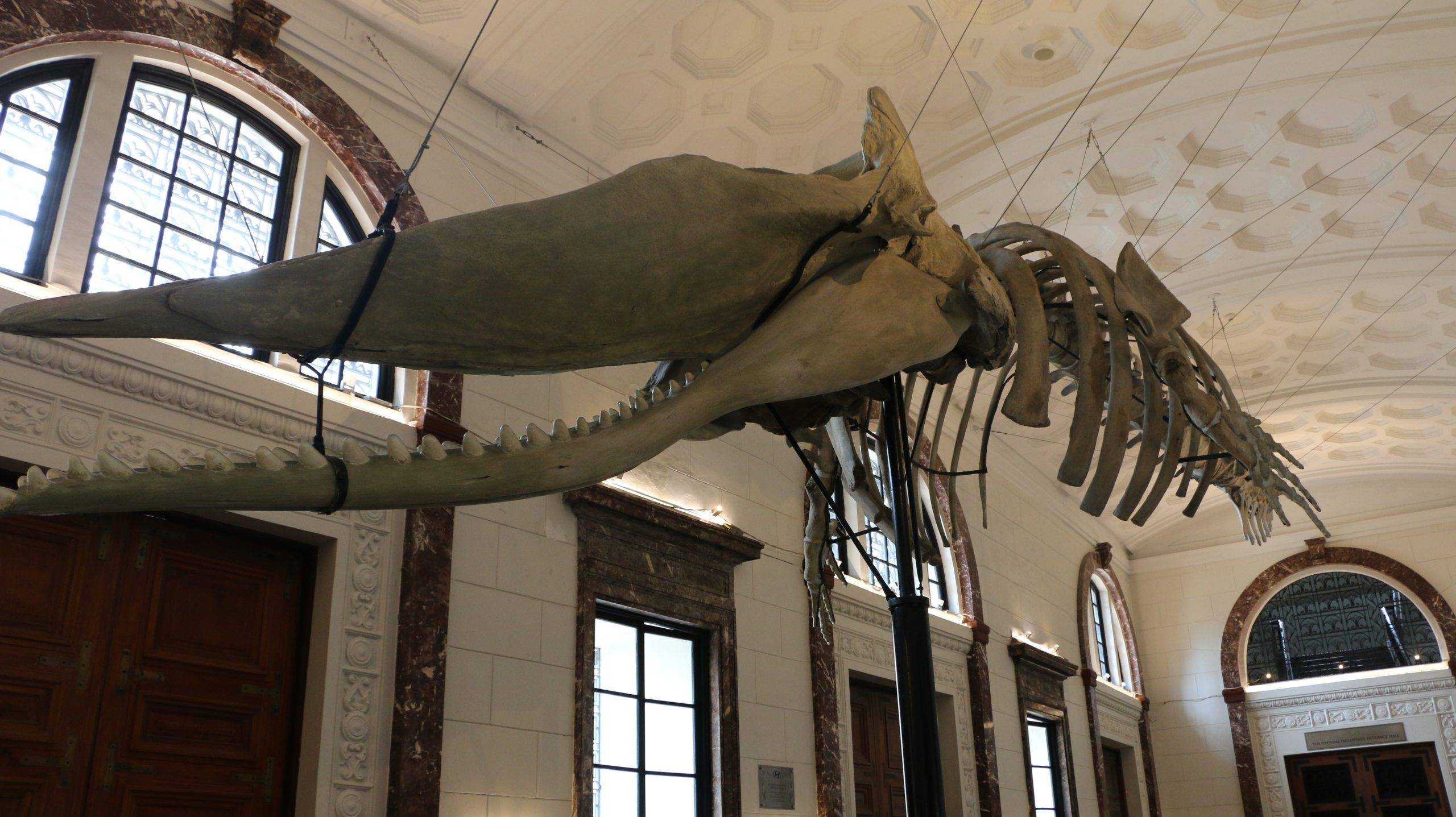 E-Museum - Exhibition Hall
